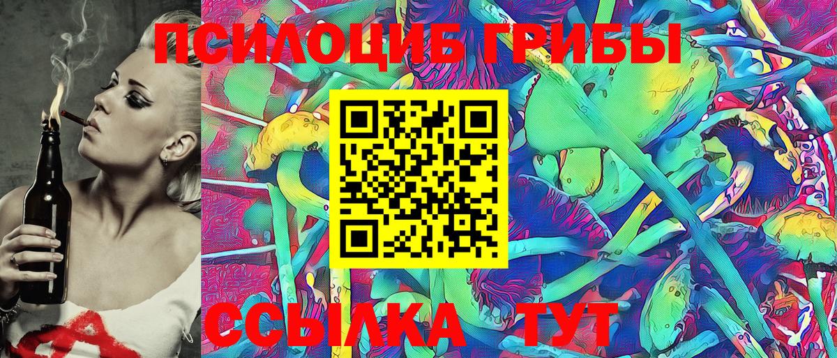 Псилоцибиновые грибы мицелий Шебекино