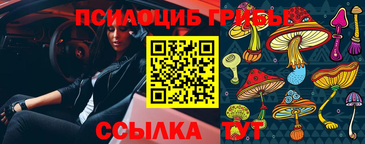Шебекино  Галлюциногенные грибы Psilocybe  сколько стоит  Вход с VPN 